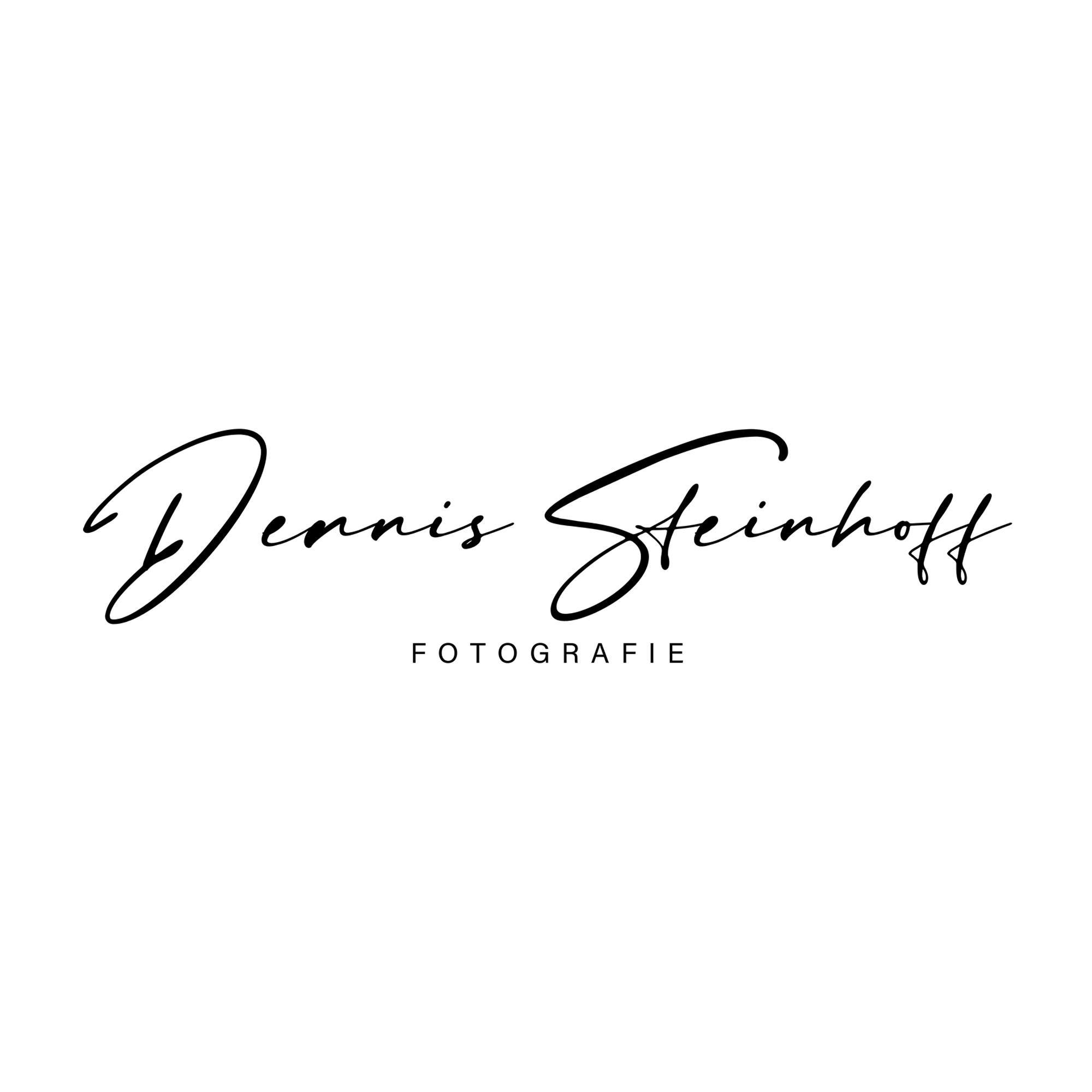 Dennis Steinhoff, Fotograf